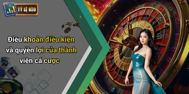 Điều Khoản Điều Kiện 3 Điều khoản điều kiện và quyền lợi của thành viên cá cược