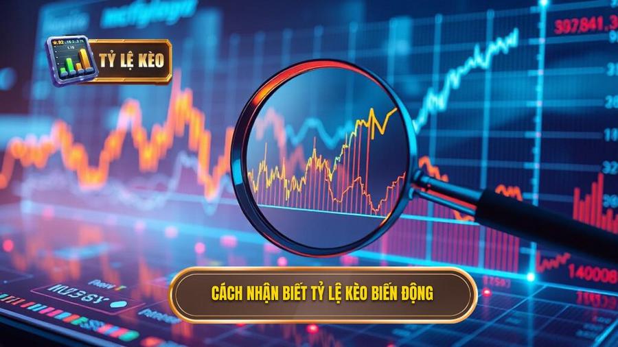 Cách nhận biết tỷ lệ kèo biến động