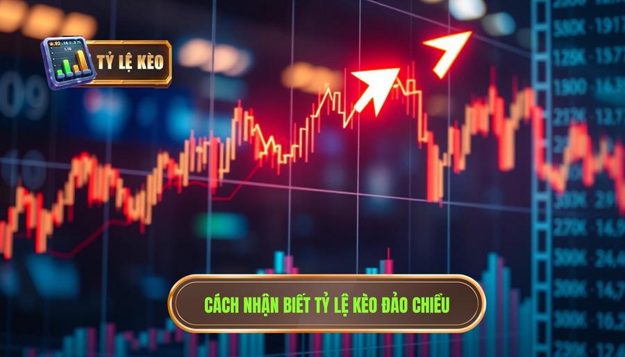 Tỷ Lệ Kèo Đảo Chiều – Dấu Hiệu Nên Theo Hay Né? Cẩm Nang Từ Chuyên Gia 3 Tỷ lệ kèo đảo chiều – Dấu hiệu nên theo hay né?